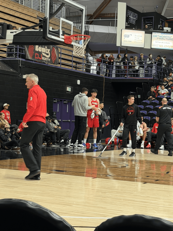 拓记：克林根本日不雅战G联赛，暂停技能对杨瀚森进行指点